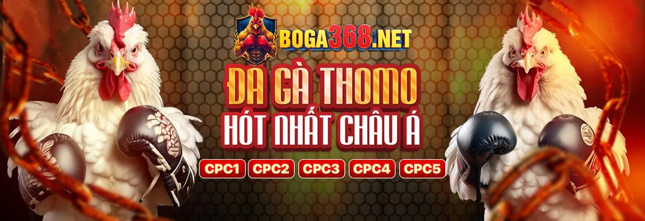 Tổng quan giao diện cá cược đá gà trực tiếp 888 trên nhiều thiết bị